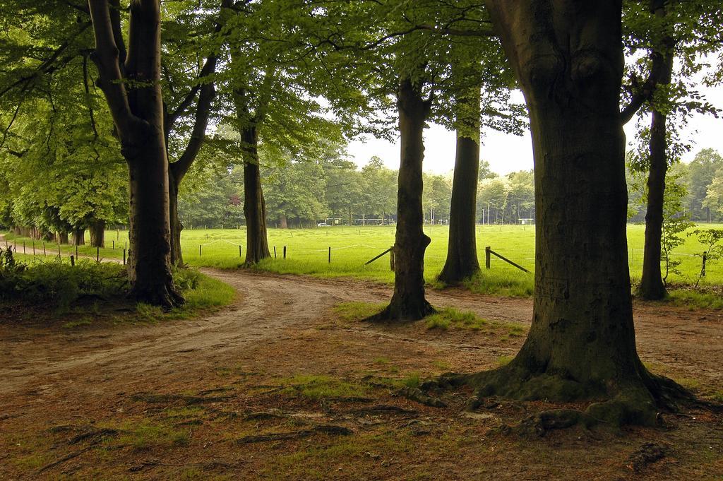 Landgoed Ehzerwold Almen Exterior foto